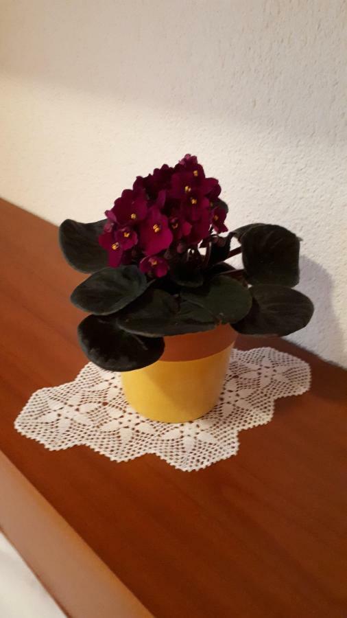Apartman Stulic Makarska Extérieur photo