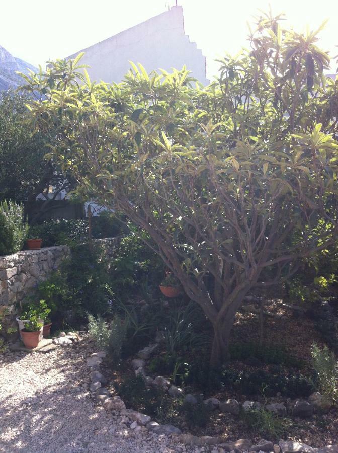 Apartman Stulic Makarska Extérieur photo