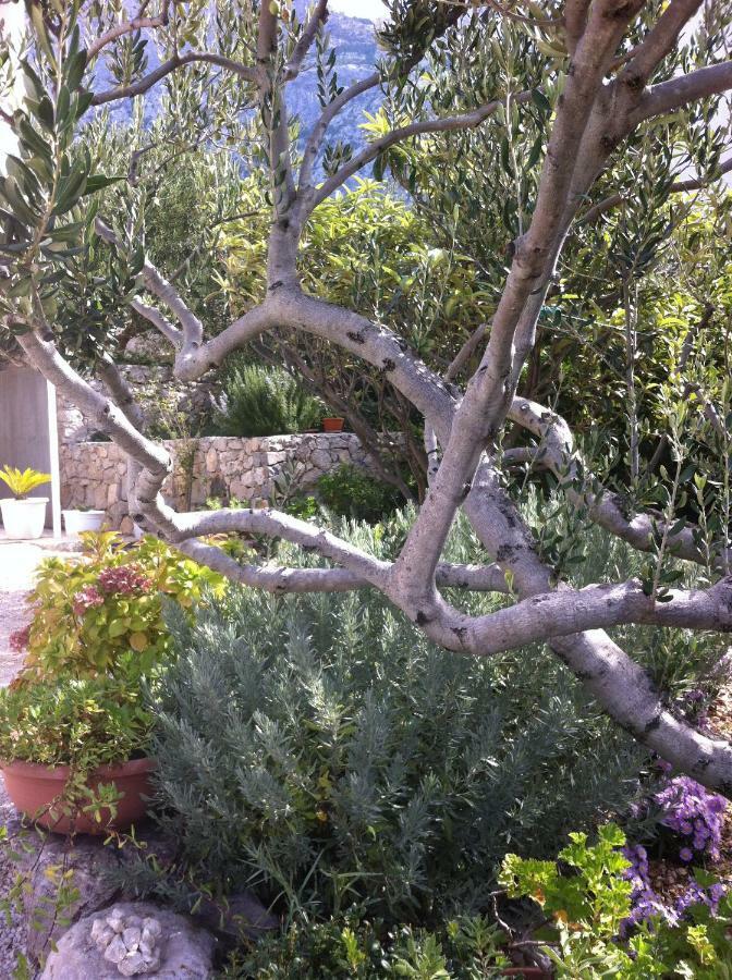 Apartman Stulic Makarska Extérieur photo